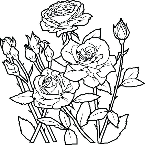 580x582 Simple Flower Coloring Pages Best Sunflower Simple Flower Pencil