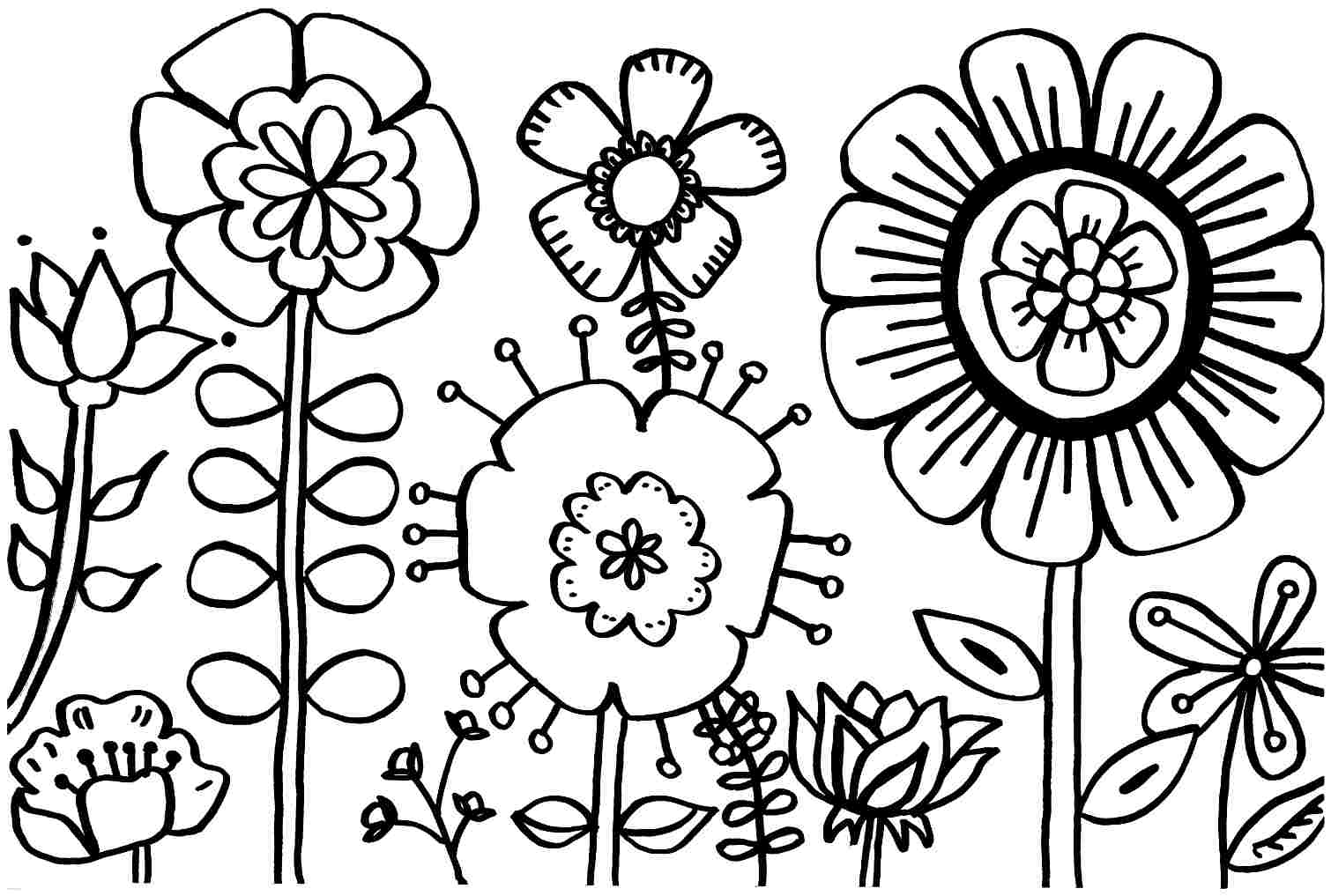 1510x1017 Spring Flower Cool Flowers Coloring Pages