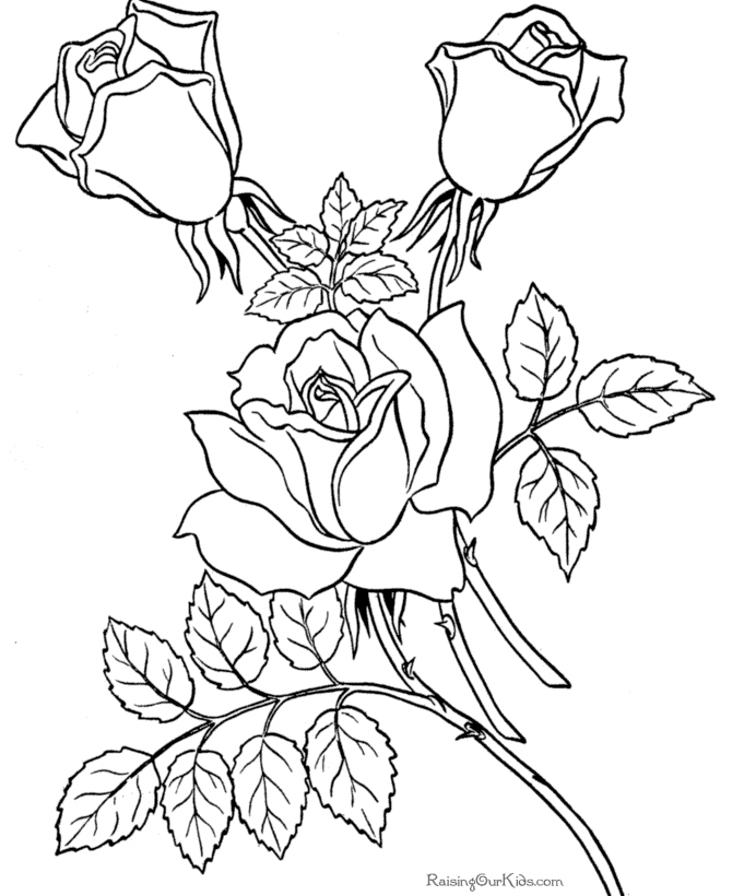 670x820 Rose Coloring Page Fresh Cool Designs Coloring Pages Coloring Home
