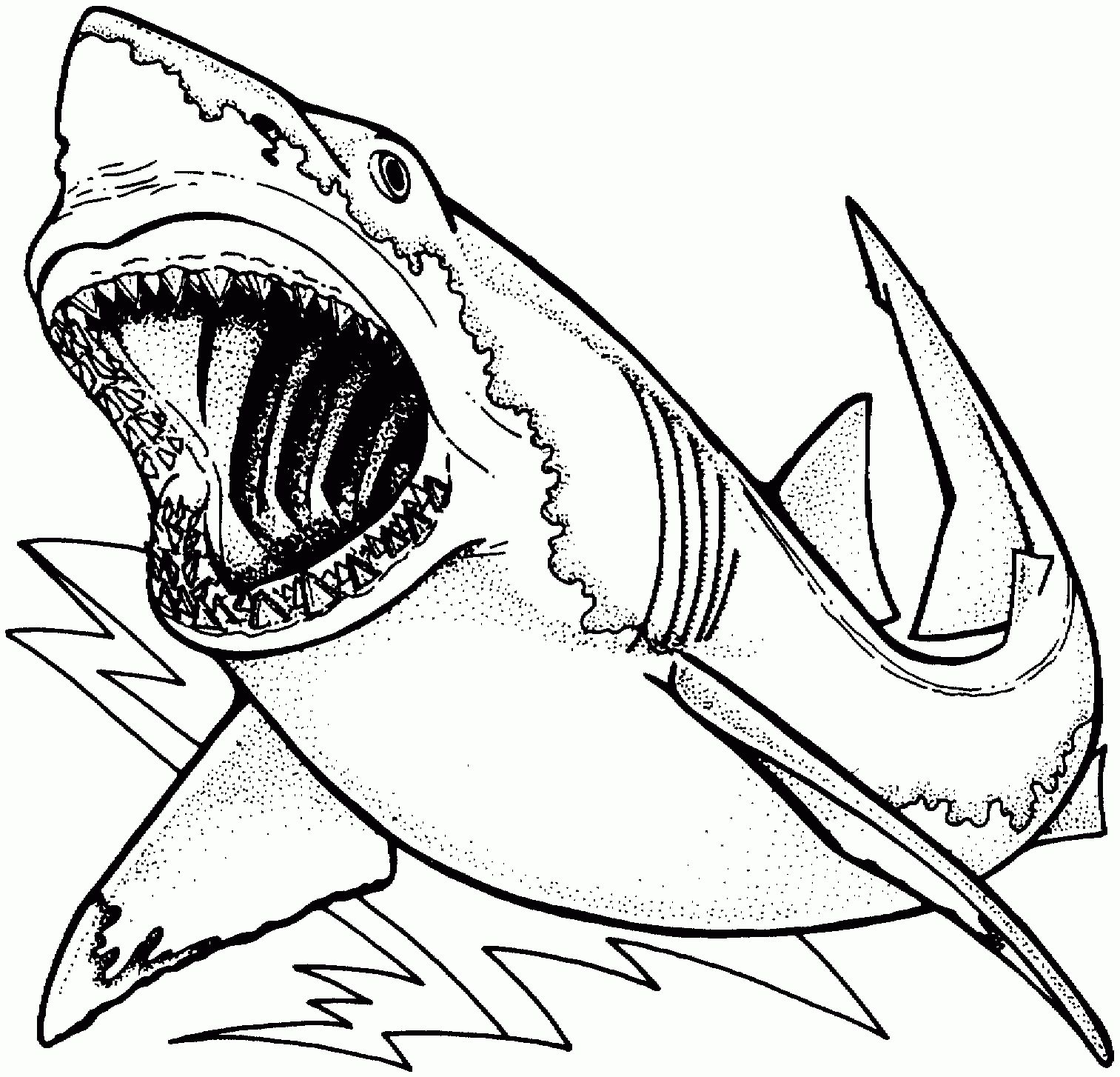 1513x1454 Unique Whale Shark Coloring Page Cool Ideas For You