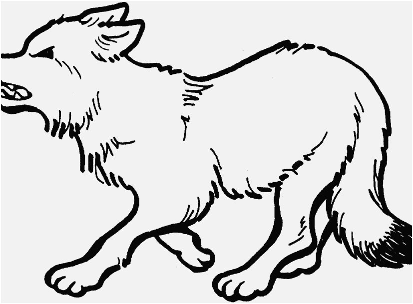 827x609 The Best Capture Wolf Coloring Pages Familiar