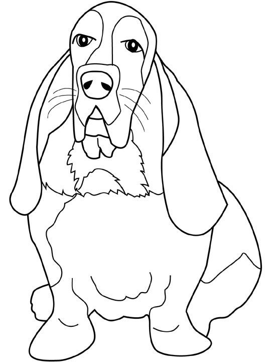 540x720 Dogs Coloring Pages Basset Hound Coloring Book Dogs Cats
