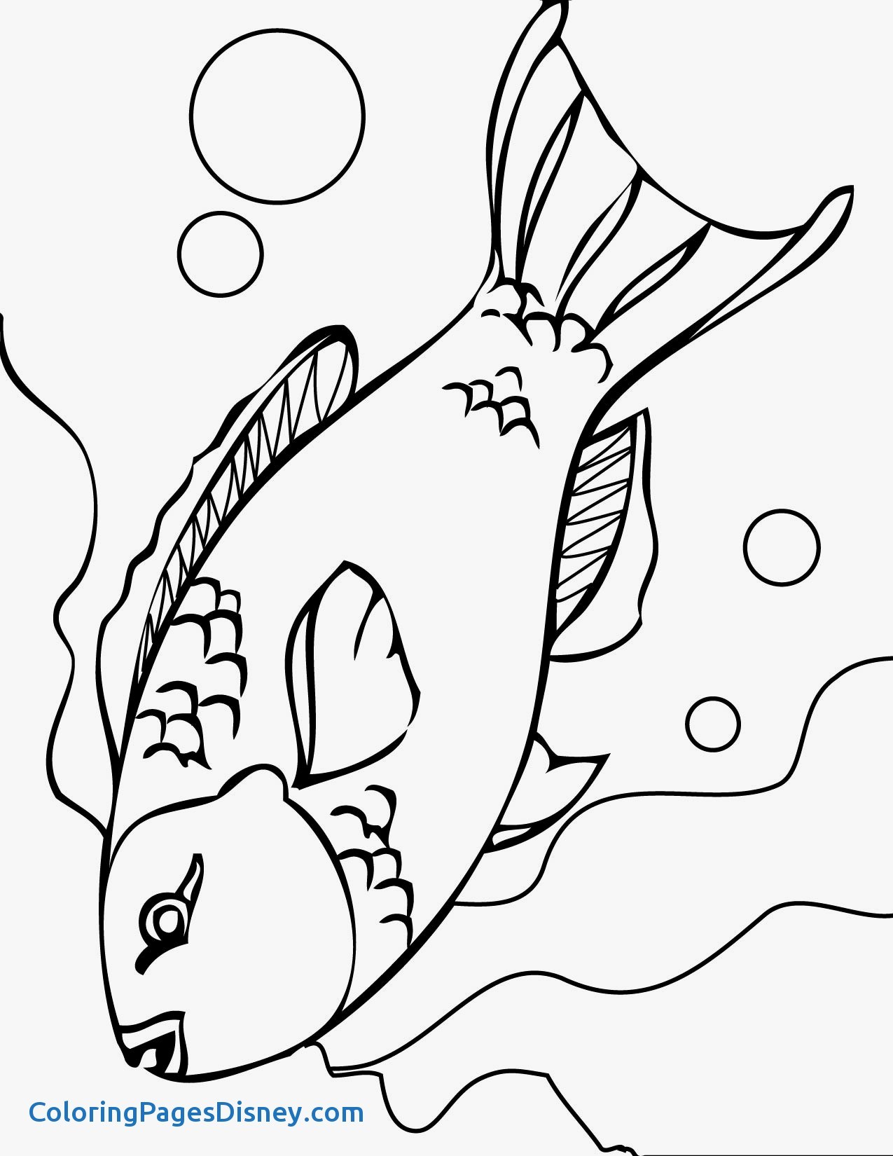 1275x1650 Coral Coloring Pages Lovely Parrotfish Coloring Page Handipoints