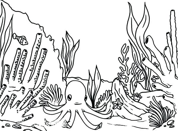 600x441 Coral Nature Printable Coloring Pages Coloring Page Coral Nature