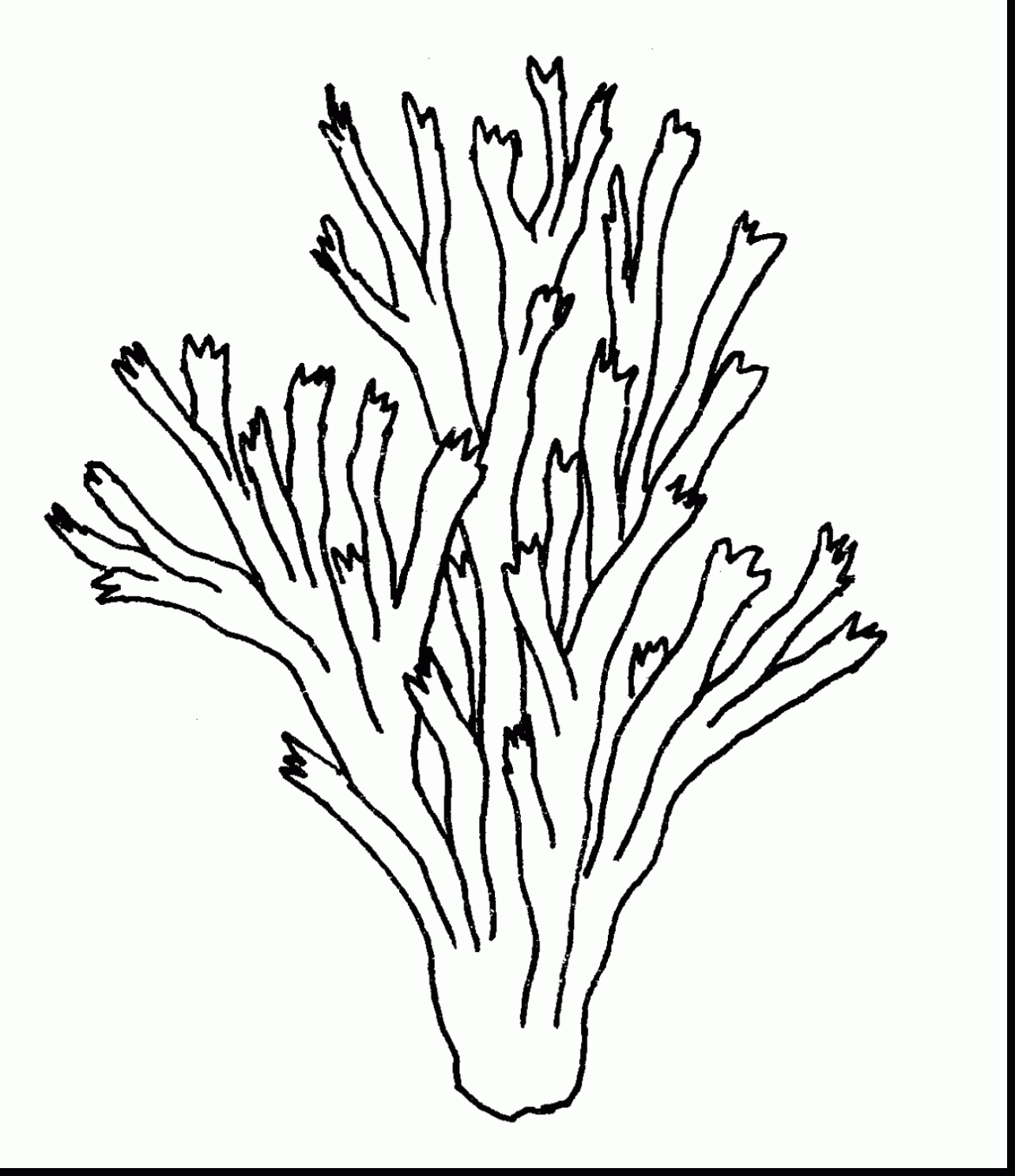 1284x1487 Fresh Coral Reef Coloring Page Free Coloring Pages Download