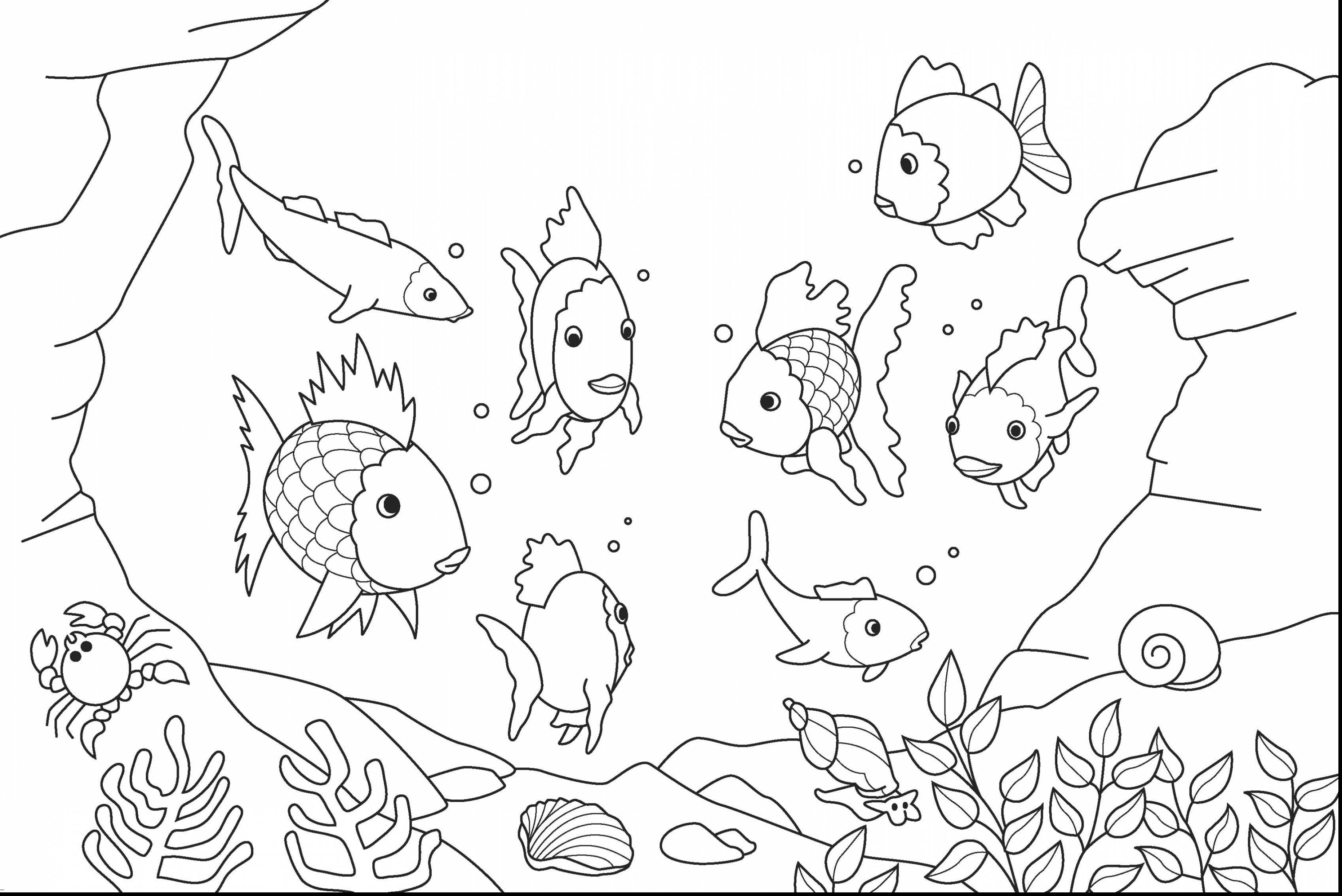 3724x2486 Best Of Ocean Coloring Page Vitlt Free Coloring Pages Download