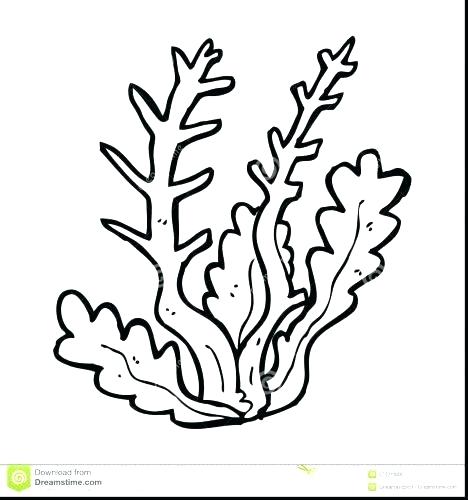468x500 Coral Reef Coloring Pages Coral Coloring Pages Medium Size