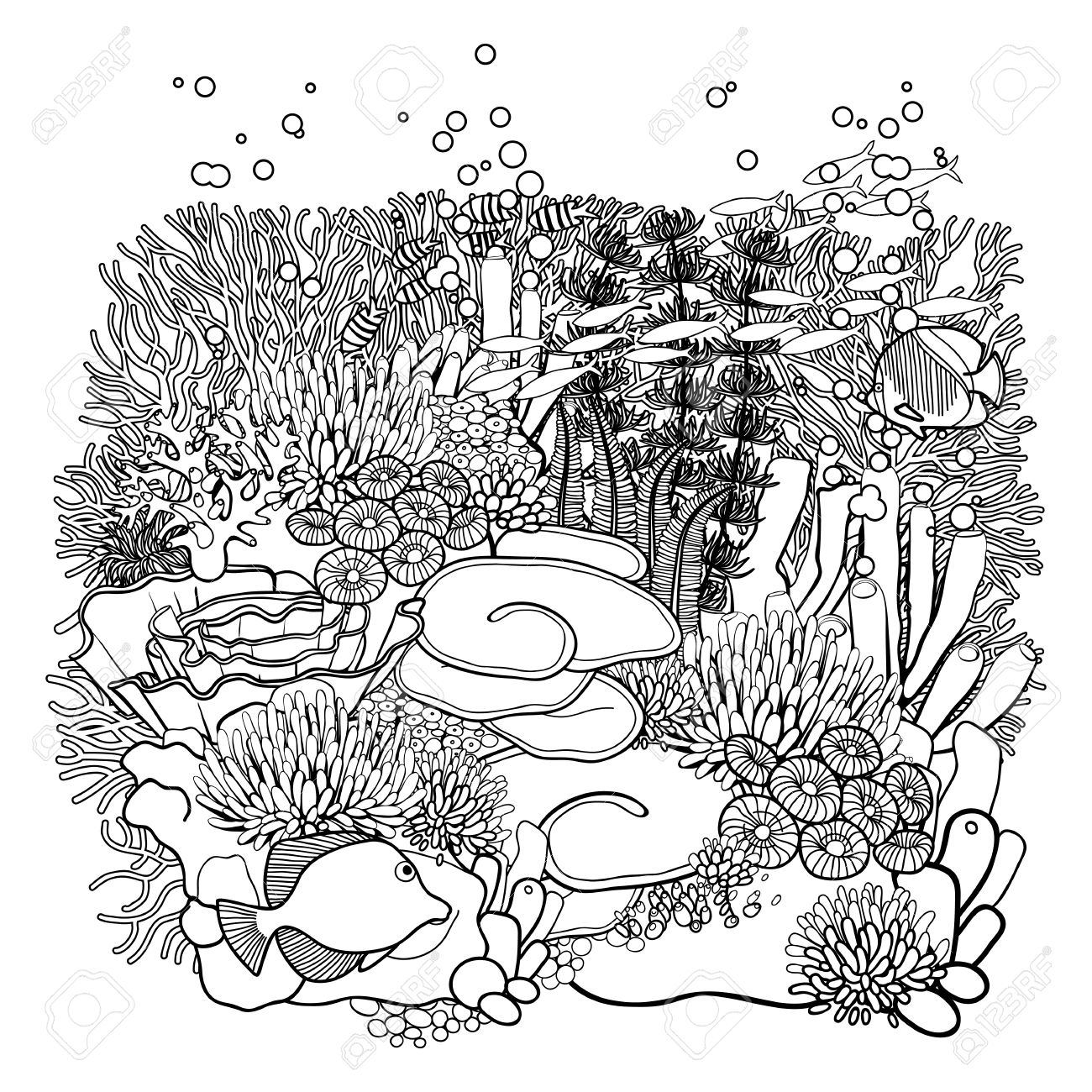 1300x1300 Perspective Coloring Pages Of Coral Reefs Reef