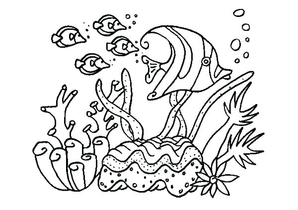 600x422 Snake Coloring Page Coral Coloring Page Coral Reef Coloring Pages