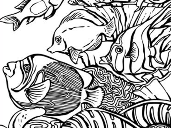 600x450 Coloring Pages