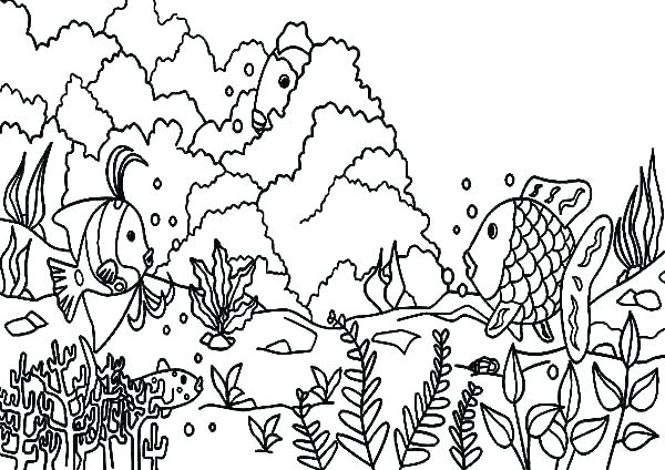600x424 Coral Reef Coloring Pages Coral Reef Fish Coloring Pages Lawman Site