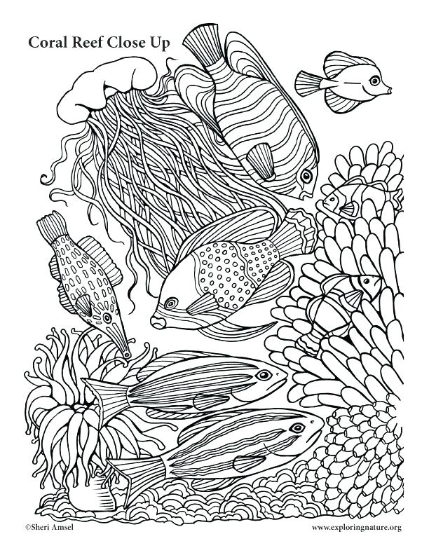 612x792 Coral Reef Coloring Pictures Coral Coloring Pages Coral Reef