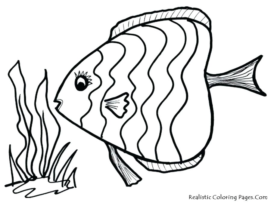 900x675 Cartoon Fish Coloring Pages Tropical Fish Coloring Pages Tropical
