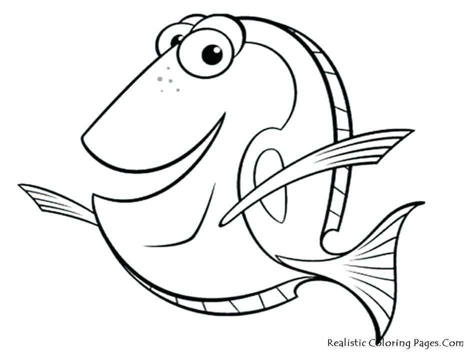 940x705 Coral Coloring Pages Coloring Pages Of Coral Reefs Fishes Coloring