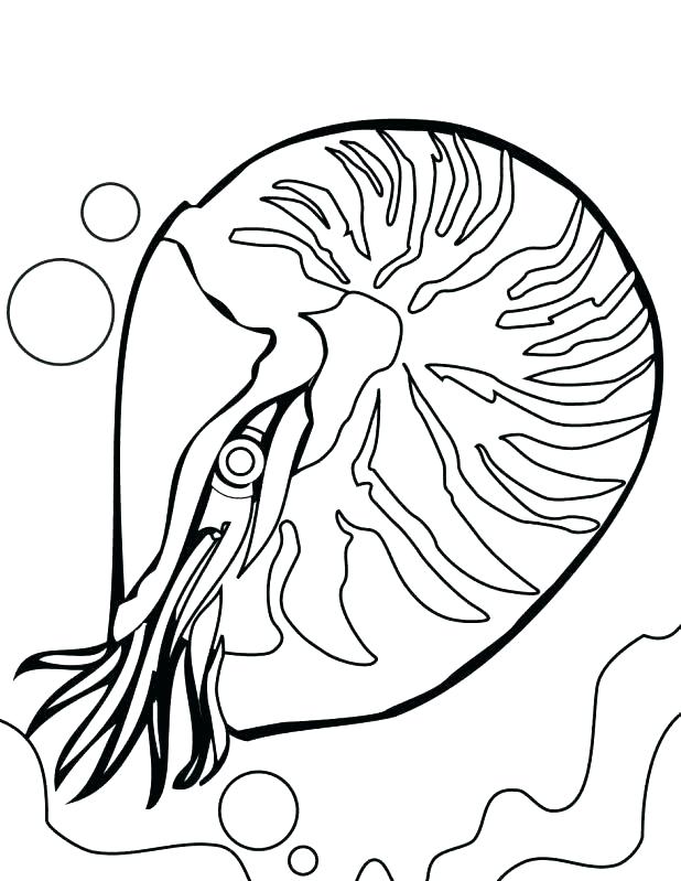 618x799 Coral Reef Coloring Ecosystem Coloring Pages Coral Reef Coloring