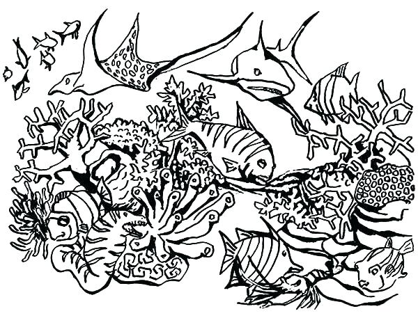 600x457 Coral Reef Coloring Page Coral Coloring Page Coral Reef Coloring