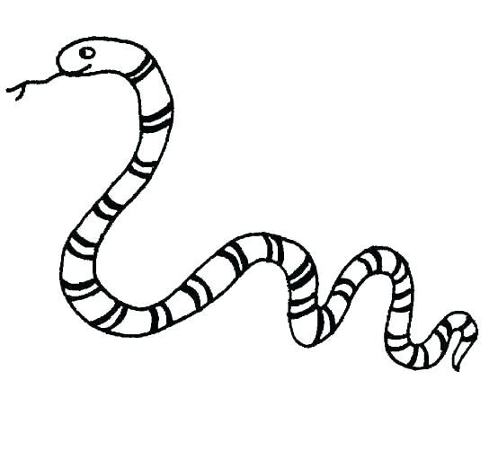 554x502 Rattlesnake Coloring Pages Coloring Page Snake Ideal Snake