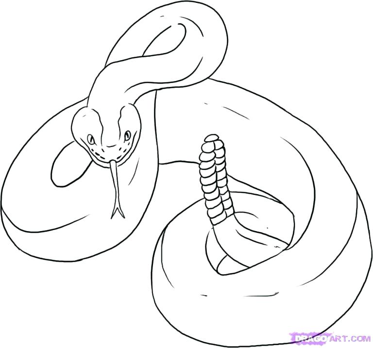 768x717 Snake Coloring Sheet S S Coral Snake Coloring Page