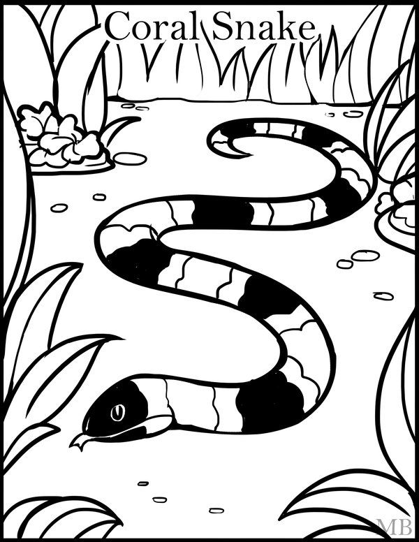 600x776 Coral Snake Coloring Page