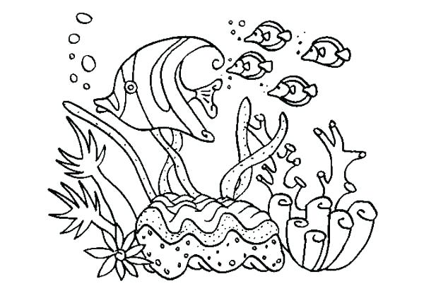 600x422 Coral Coloring Pages A Group Of Fish In Coral Reef Coloring Pages