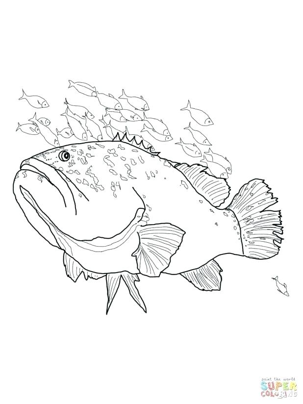 618x824 Coral Coloring Pages Coloring Page Black And White At A Coral Reef