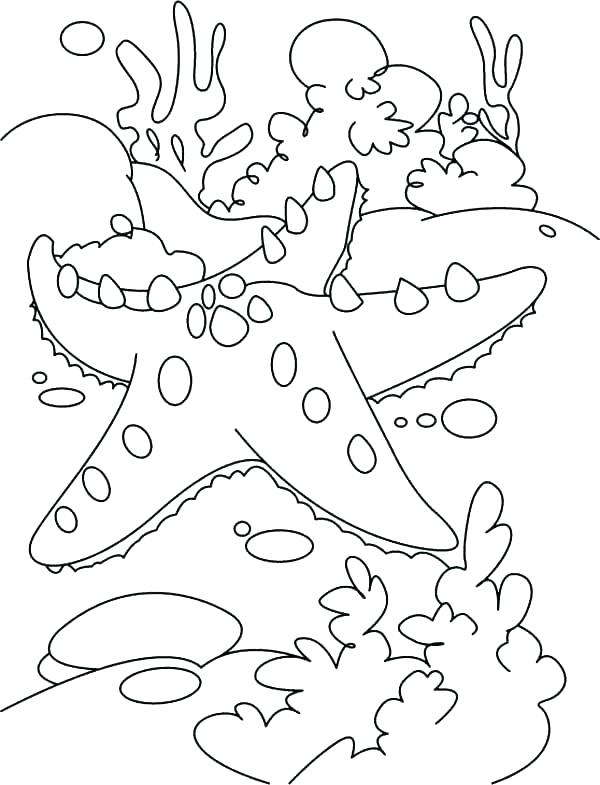 600x785 Coral Coloring Pages Coloring Page Coral Nature Printable Coloring