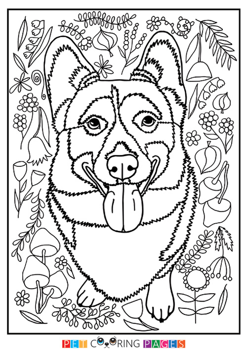 500x711 Pembroke Welsh Corgi Coloring Page Ralph