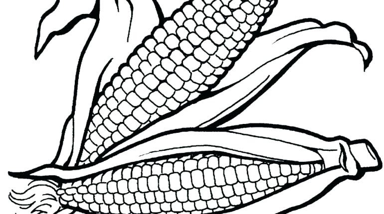 770x430 Corn Coloring Page