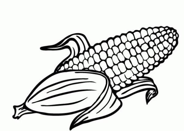 600x427 Corn Coloring Pages
