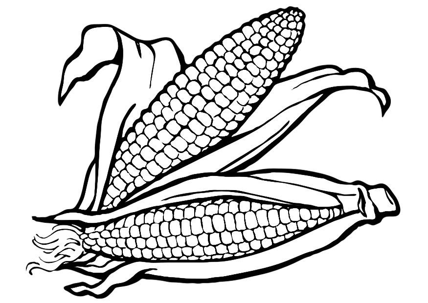 875x620 Corn Coloring Pages Awesome Corn Cob Coloring Page Coloring Home
