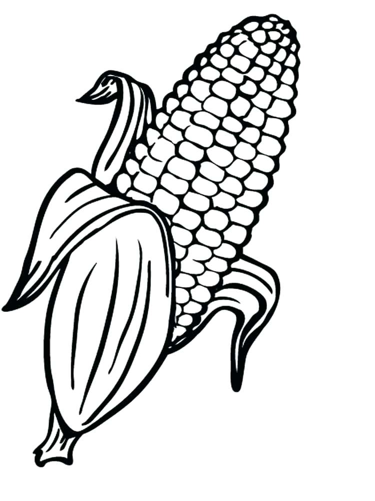 750x1000 Corn Coloring Pages Corn Coloring Pages Candy Corn Color Page Free