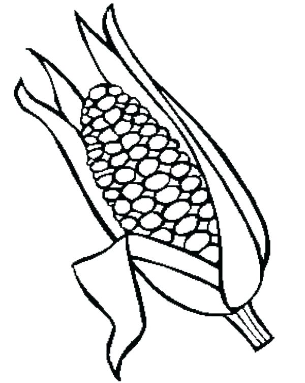 Corn Coloring Page at GetDrawings | Free download