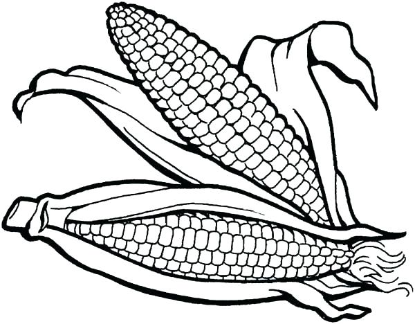 600x468 Corn Coloring Pages Delicious Corn Coloring Page Sun Popcorn