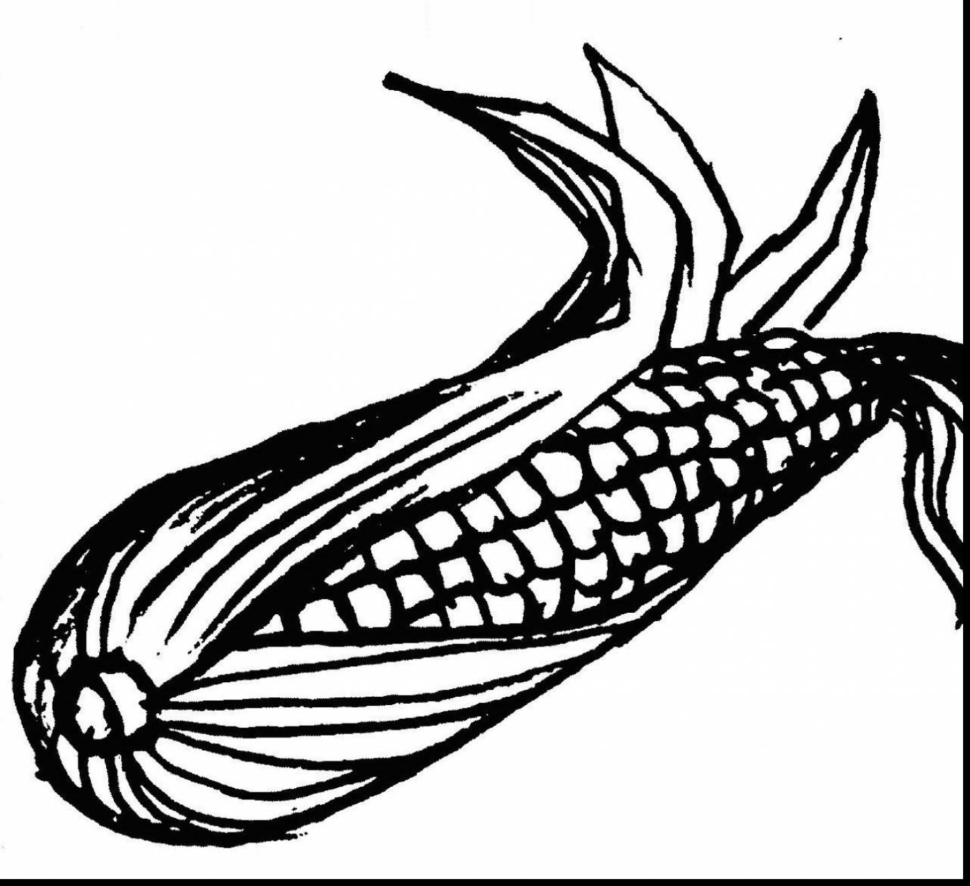 1398x1278 Corn Coloring Pages Excellent Impressive Clip Art Ear Of Page