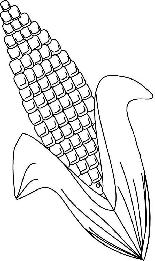 600x1011 Corn Coloring Pages Lovely Corn Coloring Pages Printable Coloring