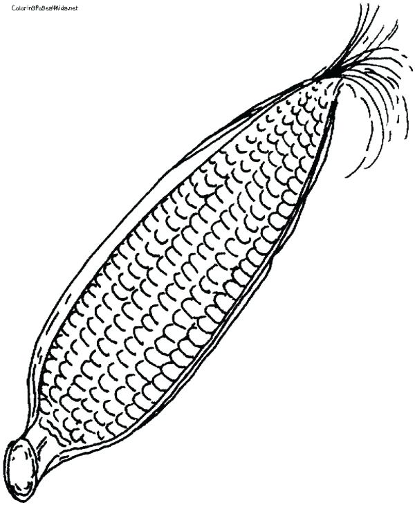 600x730 Corn Coloring Pages Printable Page For Free