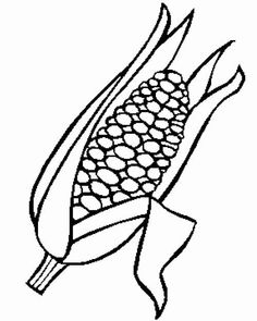 236x295 Corn On The Cob Coloring Page Posts Related To Corn Coloring