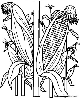 277x338 Printable Vegetables Corn Coloring Page