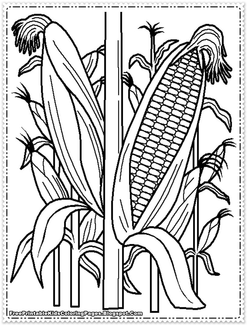 810x1066 Corn Coloring Pages Cornfield Printable Kids Coloring Pages