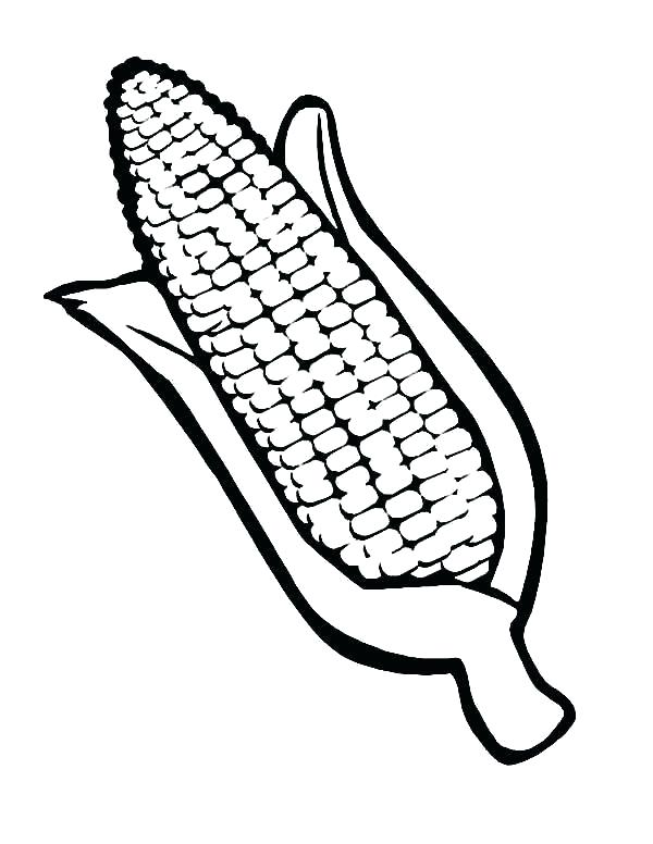 600x776 Corn Stalk Coloring Page