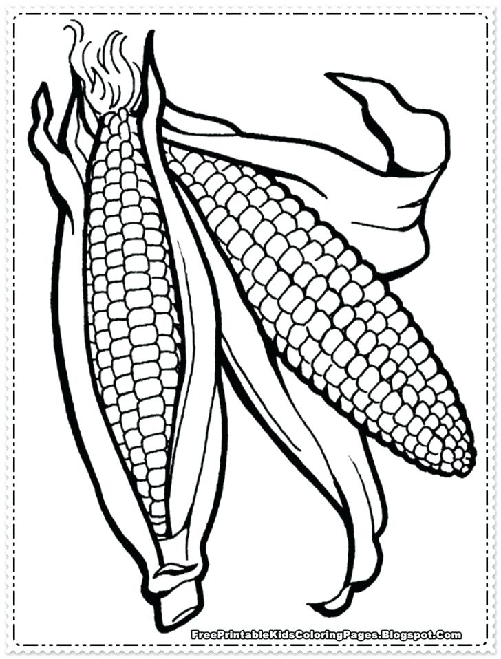 728x958 Corn Coloring Pages Ear Of Corn Coloring Page Corn Stalk Coloring