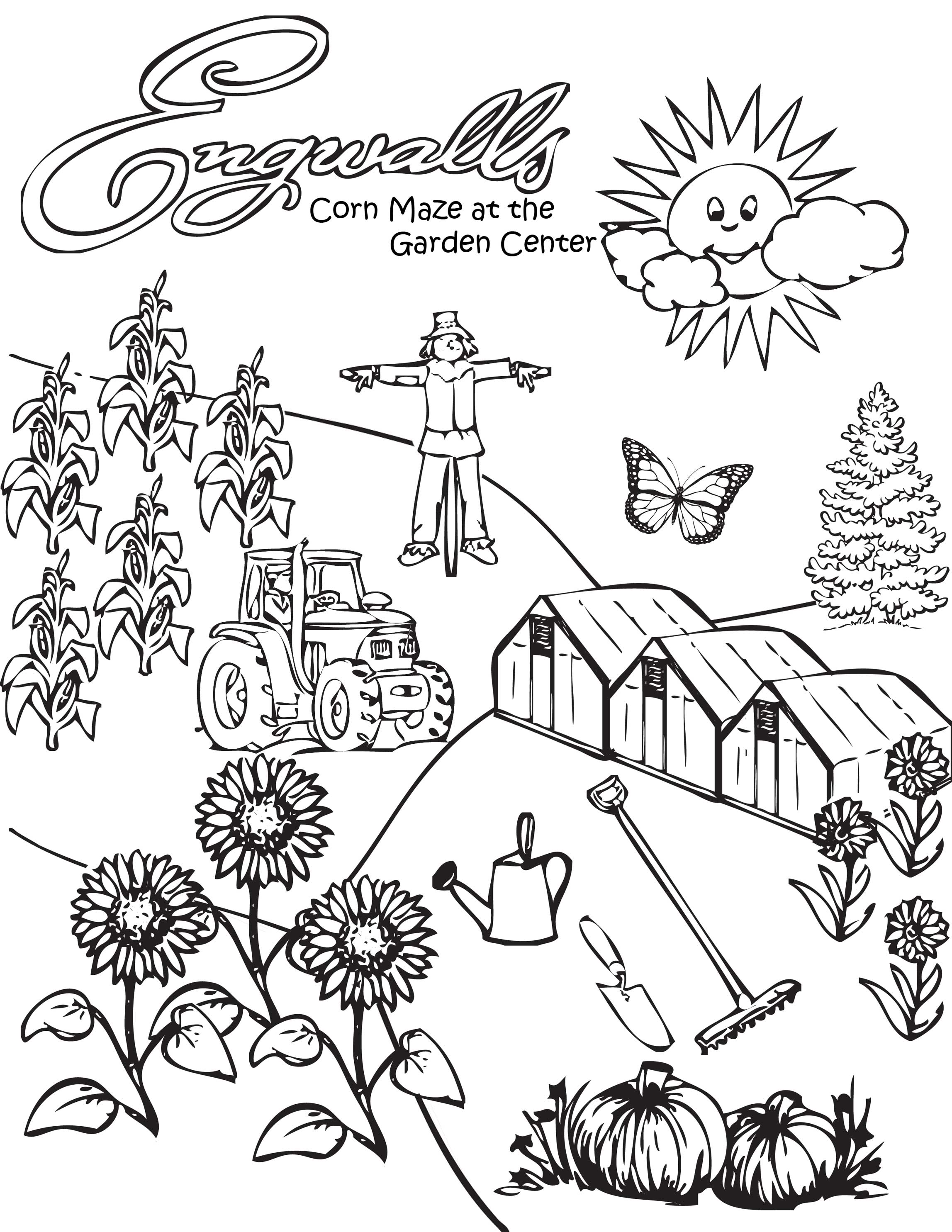 2295x2970 Corn Stalk Coloring Page Robertjhastings Net Best