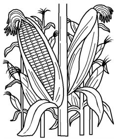236x286 Coloring Pages Of Corn Fields It's National Corn On The Cob Day