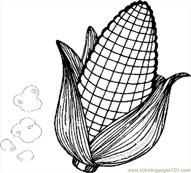 650x586 Corn Coloring Page