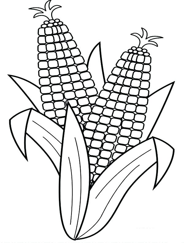 600x790 Corn Coloring Page Ear Of Corn Coloring Page Fan Photo Candy Corn