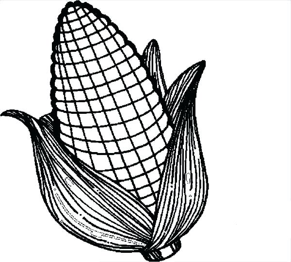 600x541 Corn Coloring Page Printable Candy Corn Coloring Sheet Corn