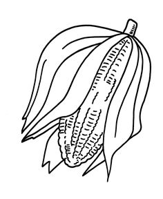 236x288 Corn Field Coloring Pages Sketch Template It's National Corn