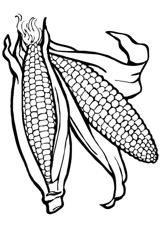 531x750 Coloring Page Corn