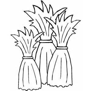 Corn Stalk Coloring Page