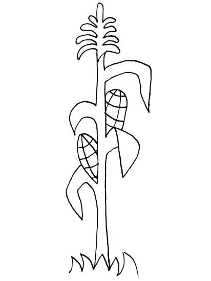412x550 Corn On The Cob Coloring Page X Free Printable Corn Stalks